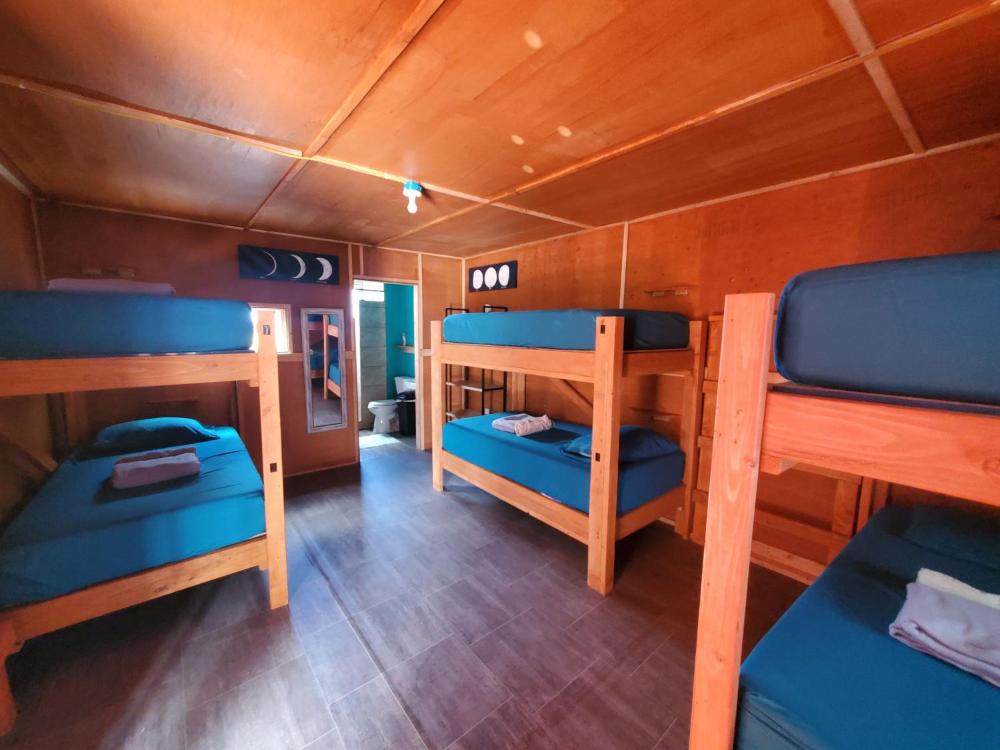 Bed in 6-Bed Female Dormitory Room interior